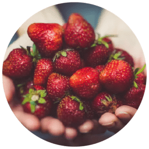HRPD_Web23_09_Connect_CommPart_v1.3_Logo_Food