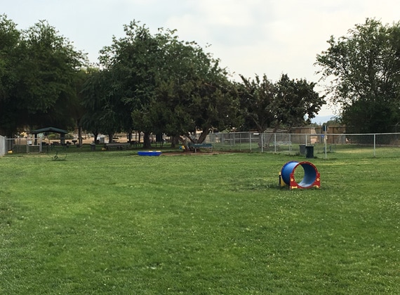Dog park
