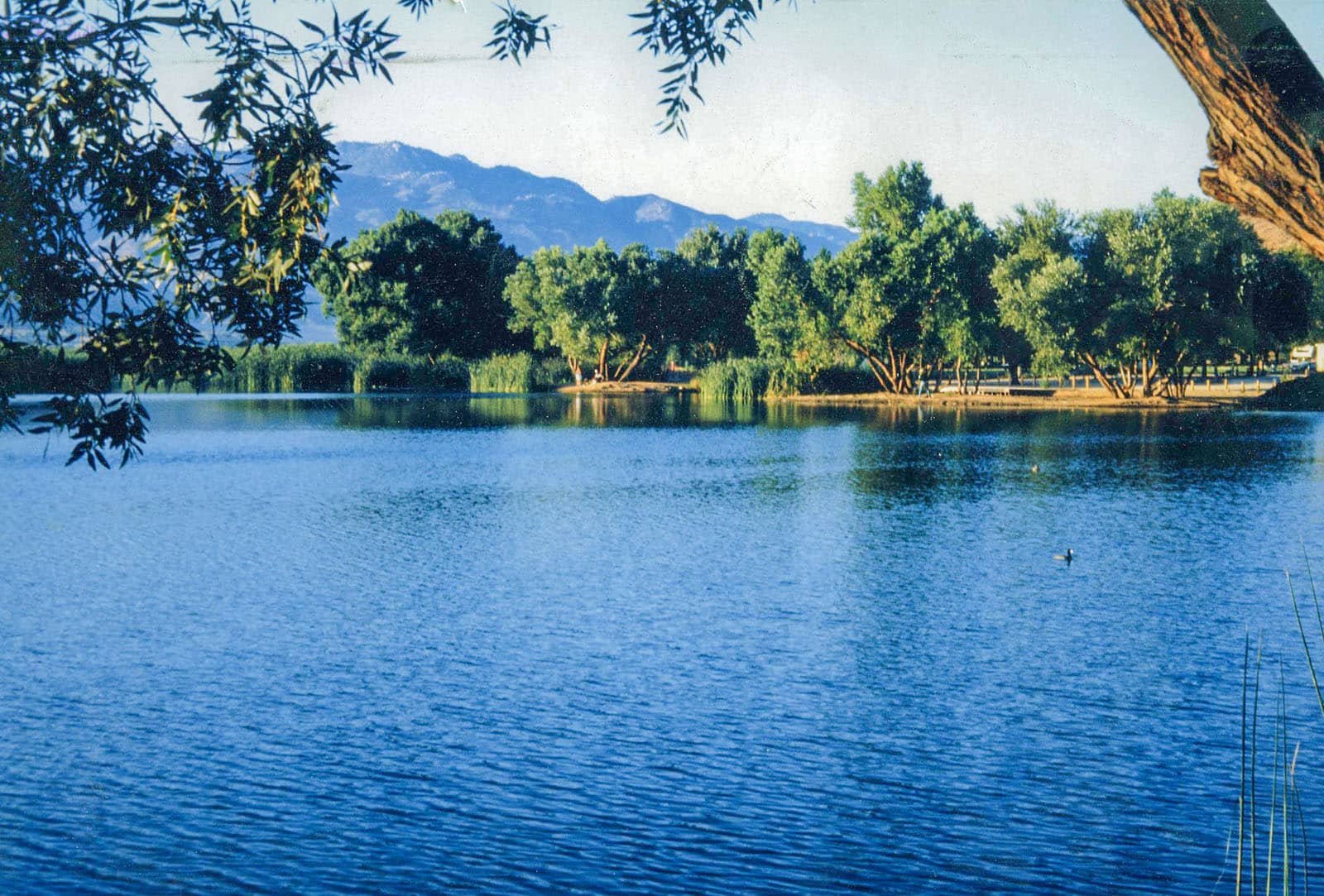 Hesperia lake