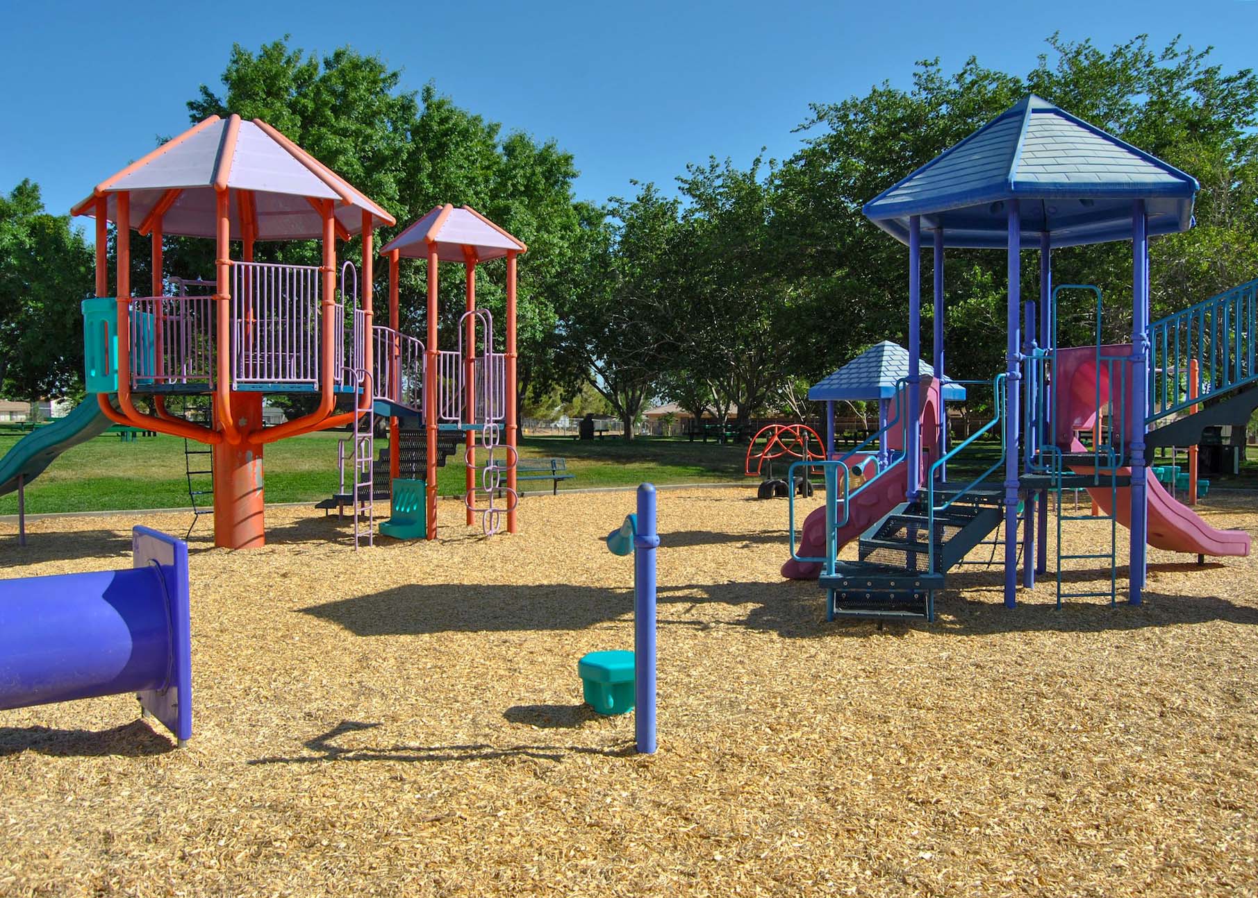 DSC_0352 Jungle gym at Timberlane Park