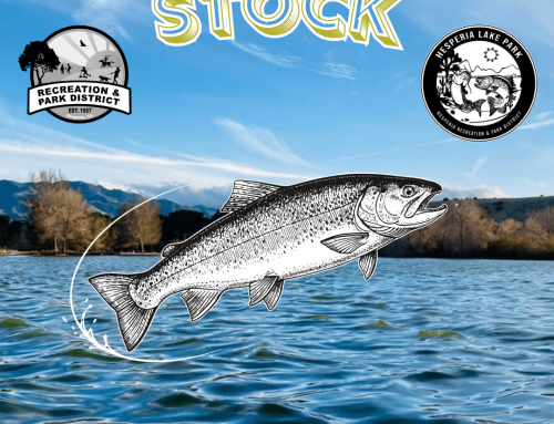 A SPECIAL TRIPLE STOCK ALERT!
