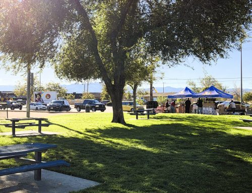 HRPD Partners with SALVA for Community Food Distribution