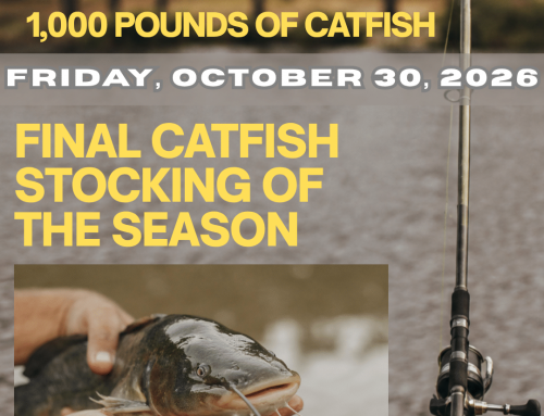 Catfish Stock- One Last Chance to Reel Them In!